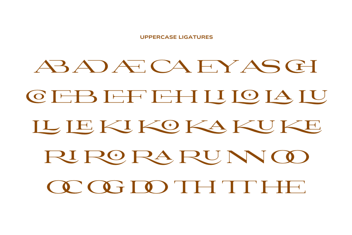 Yasiroh - Modern Serif Font, a Serif Font by Sronstudio (Photo 3 of 19)