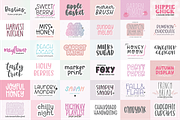 100 FONTS! Ultimate Font Bundle Vol3, a Script Font by Blush Font Co. (Thumbnail 2 of 4)