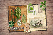 Forest Scrapbooking Kit, an Animal Illustration by Secret Helper (Thumbnail 8 of 9)