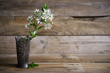 Still life with spring blossoms in vase stock photo containing vase and, a Nature Photo by amizadon