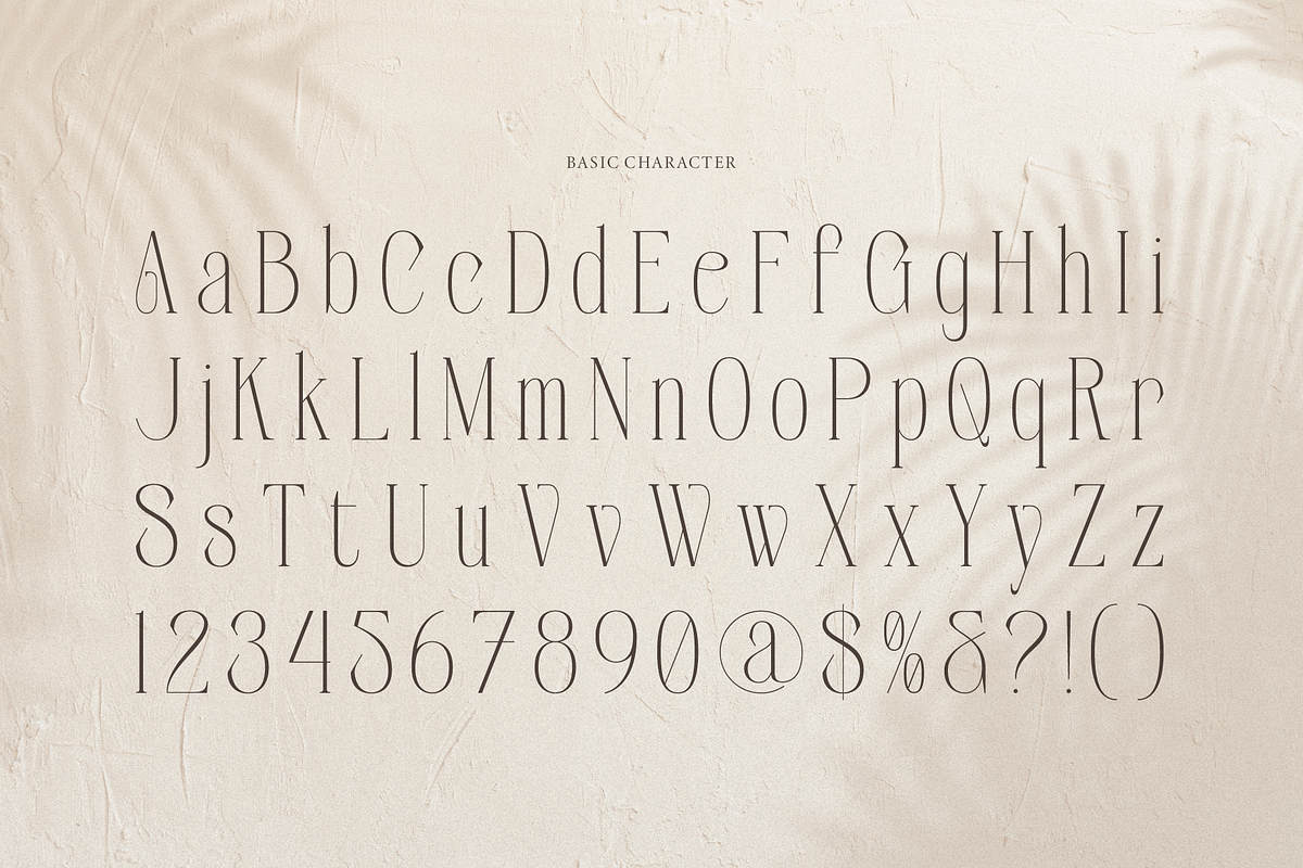 Orlevin | New Modern Serif, a Serif Font by gracetype_studio (Photo 10 of 12)