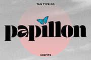 TAN - MISFITS, a Font by TanType (Thumbnail 6 of 15)