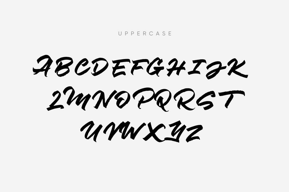Script Fonts Duo, a Script Font by kavoon (Photo 2 of 9)