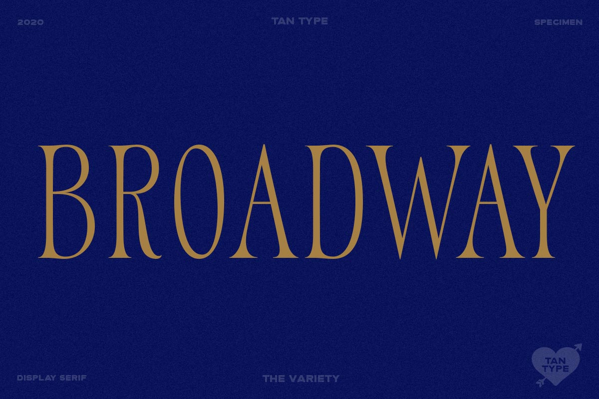TAN - Variety, a Serif Font by TanType (Photo 19 of 26)