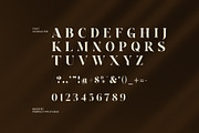 Hope Norton Elegant Serif Font, a Serif Font by Perfectype (Thumbnail 8 of 8)