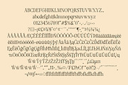 DT Morelish - Serif Display, a Serif Font by Dryy.type (Thumbnail 10 of 12)