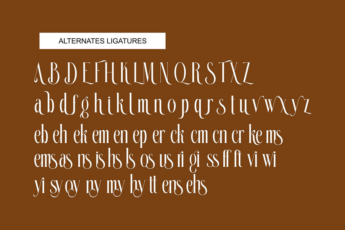 Bikems Modern Serif Typeface, a Serif Font by Alfinart (Photo 9 of 10)
