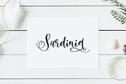 Beauty Youth. Lovely Script, a Script Font by CallMeStasia (Thumbnail 17 of 21)