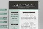 Resume Template 4-Page - CV Template, a Resume Template by Blissful Pixels (Thumbnail 2 of 4)