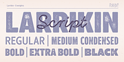 Larrikin, a Sans Serif Font by HeadFirst (Thumbnail 3 of 13)