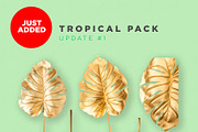 Gold Leaves, an Object Graphic by Fox & Bear (Thumbnail 4 of 5)
