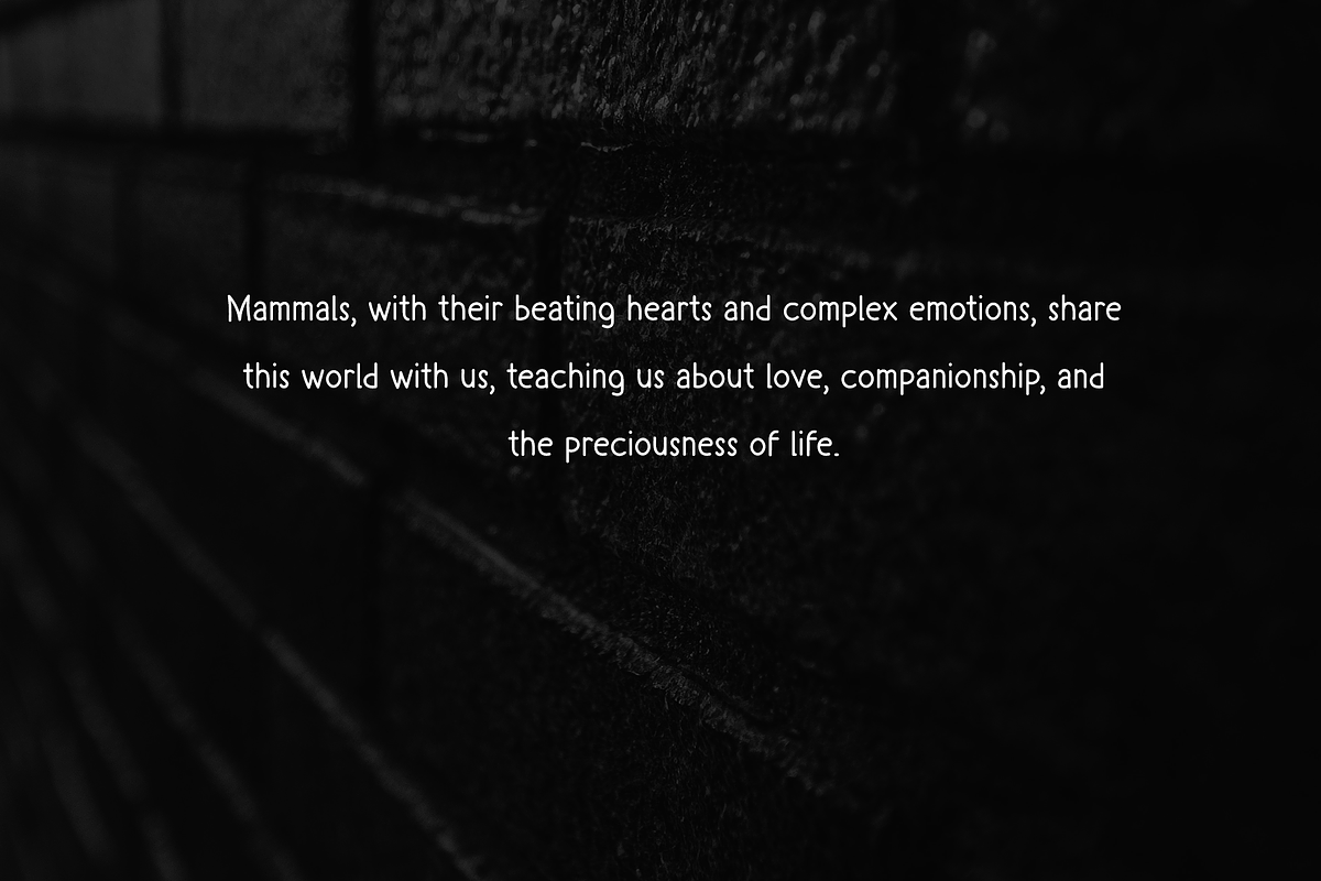 Mamallia - Handwriting font, a Handwritten Font by portype (Photo 6 of 6)