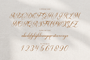 Ms Greillay | Modern Calligraphy, a Script Font by Denustudios (Thumbnail 13 of 15)