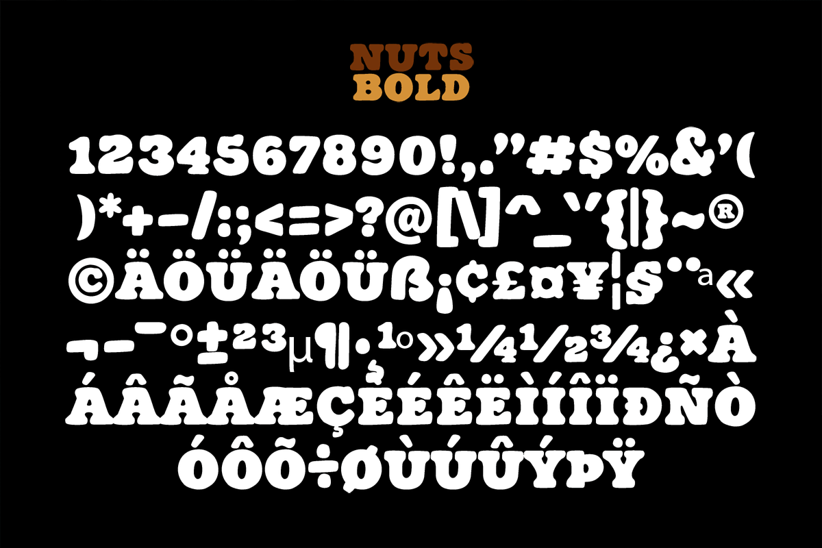 Nuts Bold – Bold Serif Typeface, a Serif Font by overlaytemplates (Photo 5 of 5)
