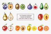 Watercolor Fruit Coctail, a Food Illustration by Chelovector (Thumbnail 3 of 5)