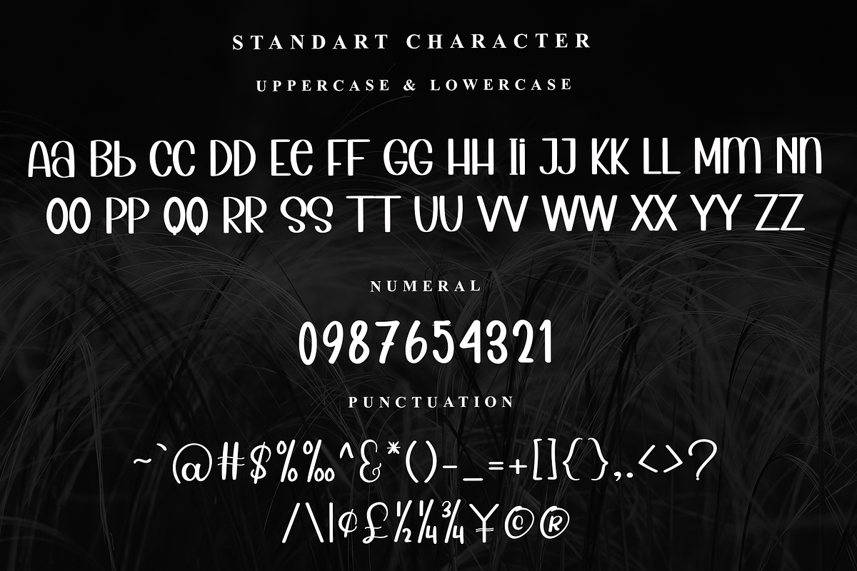 Barbie Dream, a Serif Font by InermediaSTUDIO (Photo 4 of 7)