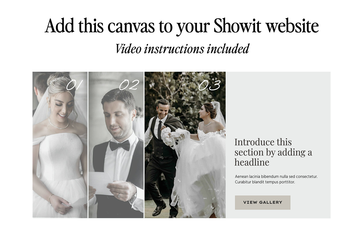 Showit Addon - Image Accordion, a Websites & App Template by Amanda Pena Design (Photo 2 of 5)