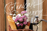 Bestnight Tropicals Ballpoint Script, a Script Font by stylishtype.co (Thumbnail 16 of 20)