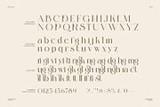 Dringk Stylish Serif Font, a Serif Font by Perfectype (Thumbnail 8 of 8)