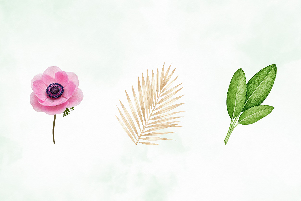 Blush Watercolor Floral Elements, an Illustration by Creative Art (Photo 3 of 9)