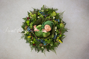 Newborn Photography Digital Backdrop