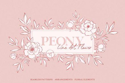 Peony - Line Art Flower
