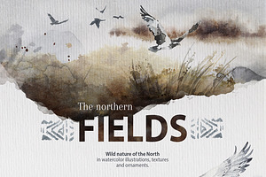 The Northern Fields Collection