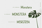 Leafy Plant Fun Typeface, a Sans Serif Font by Wandery Supply (Thumbnail 4 of 9)