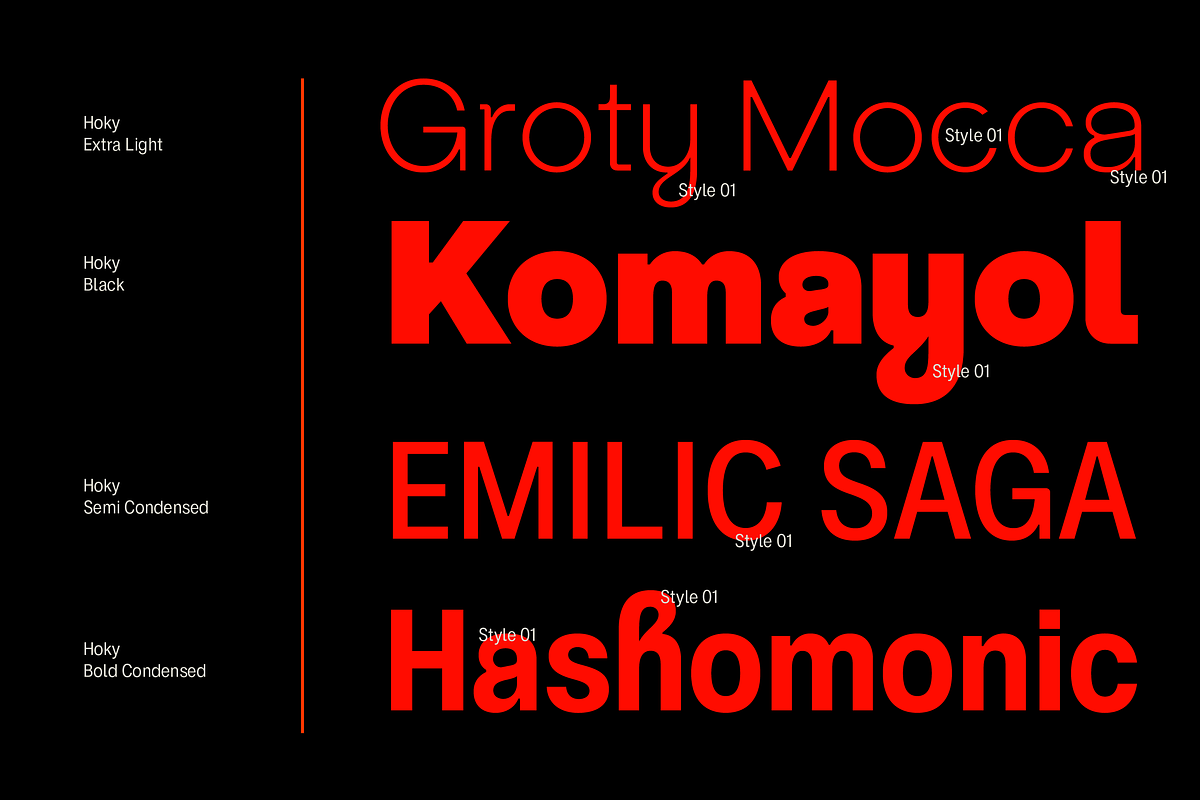 ZT Hoky Geometric - 54 Fonts, a Sans Serif Font by zelow type (Photo 6 of 15)