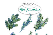 Pine Branches 2, an Illustration by Feather Grace Designs (Thumbnail 2 of 3)