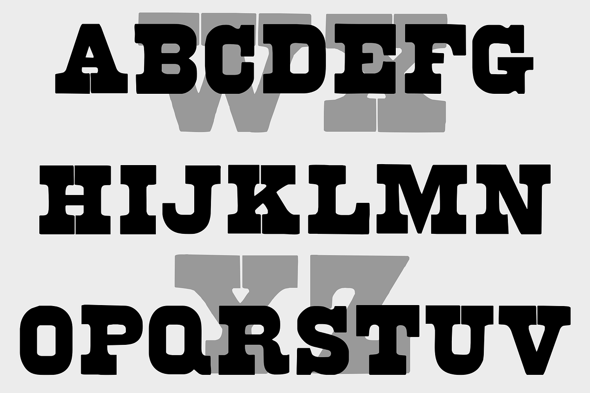 Brute Aldine, a Serif Font by Intellecta Design (Photo 2 of 7)