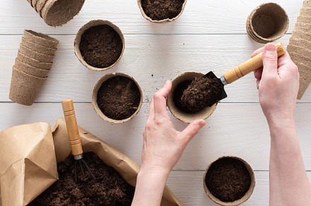 Female hands with a garden shovel, a Food & Drink Photo by Pandateam