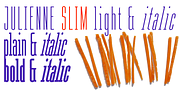 Julienne, a Sans Serif Font by Wiescher-Design (Thumbnail 3 of 4)