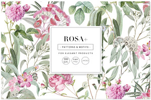 Rosa Eucalyptus Patterns & Motifs