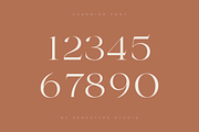 Charming - Classy & Decorative Font, a Serif Font by Sensatype (Thumbnail 18 of 21)