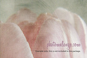 PhotoMelange Painted Canvas preview 2