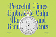Portrait Midnight Modern Serif, a Sans Serif Font by timelesstype.co (Thumbnail 5 of 15)