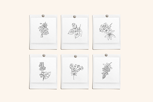 Floral Sketchbook Vectors