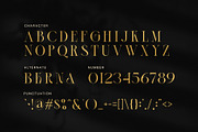 Bether Elegant Modern Serif Typeface, a Serif Font by Graphicxell (Thumbnail 8 of 8)