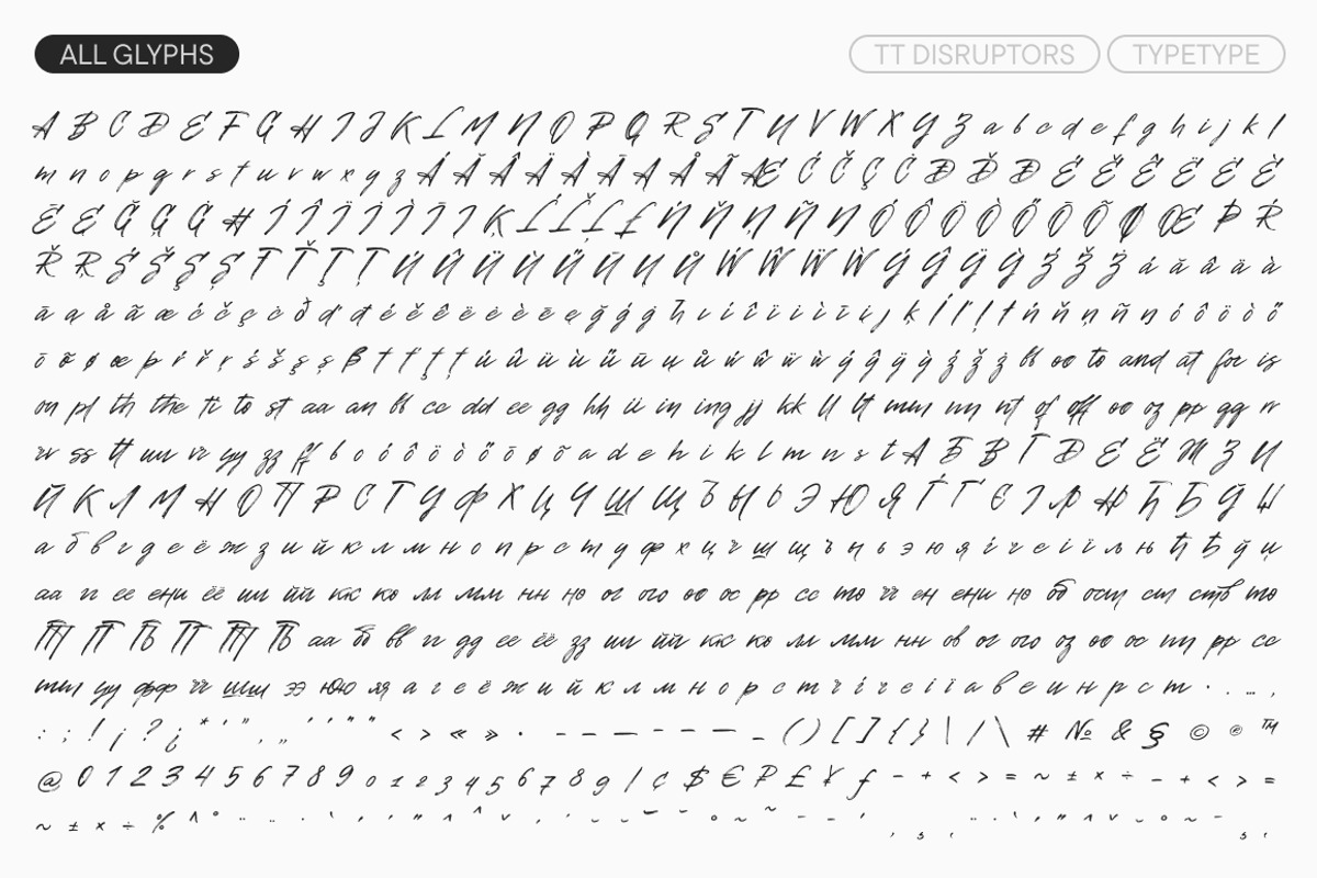 TT Disruptors, a Script Font by TypeType (Photo 6 of 12)
