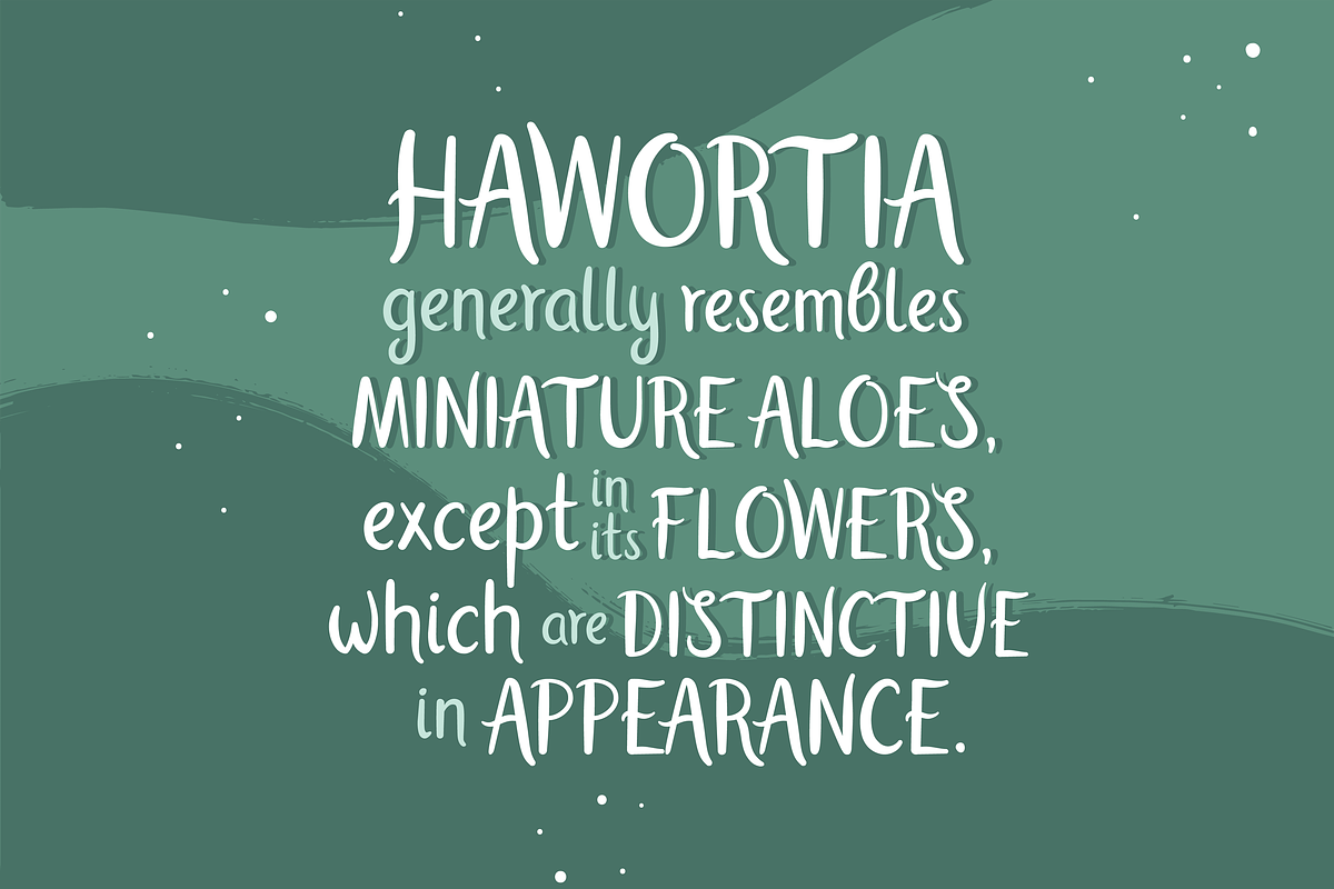Haworthia. Multilingual Script Font., a Script Font by Cmeree (Photo 5 of 7)