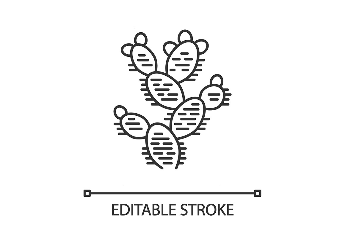 Prickly pear linear icon, an Outline Icon by IMG Visuals