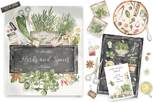 Watercolor Herbs And Spices