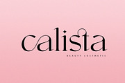 swagen aesthetic, a Serif Font by INKSUN™ (Thumbnail 7 of 9)