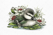 Spring Baby Animals Clipart Png, an Illustration by Craft Nest (Thumbnail 10 of 11)