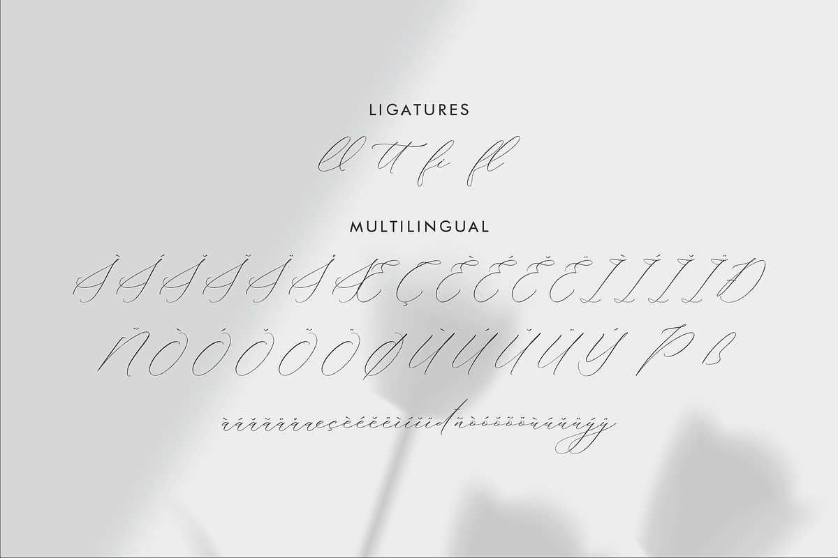 Delistian Valentine Beauty Script, a Script Font by Storytype Studio (Photo 14 of 15)