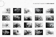 Smoke & Bloom Monochrome Elegance, a Nature Photo by Lumeno (Thumbnail 2 of 4)