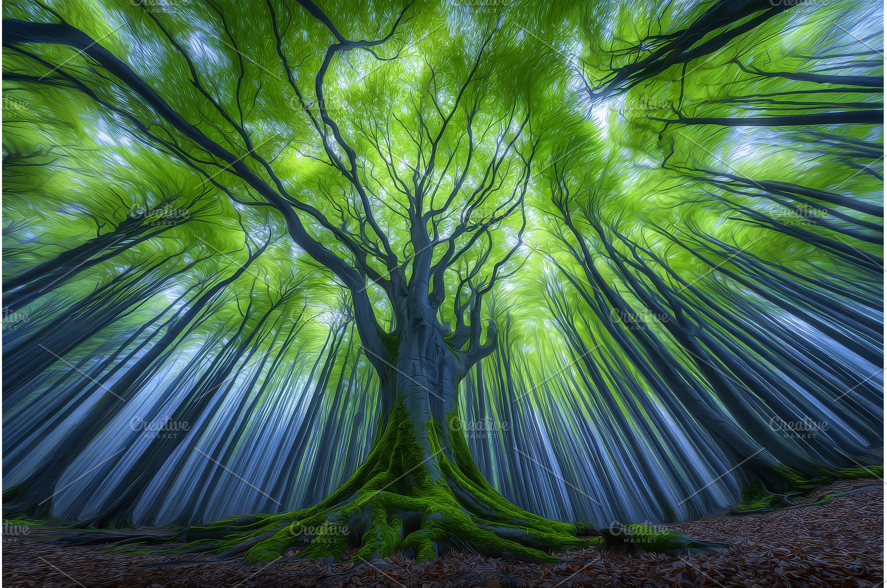 The Veluwe region in the Netherlands, a Nature Photo by ZinetroN