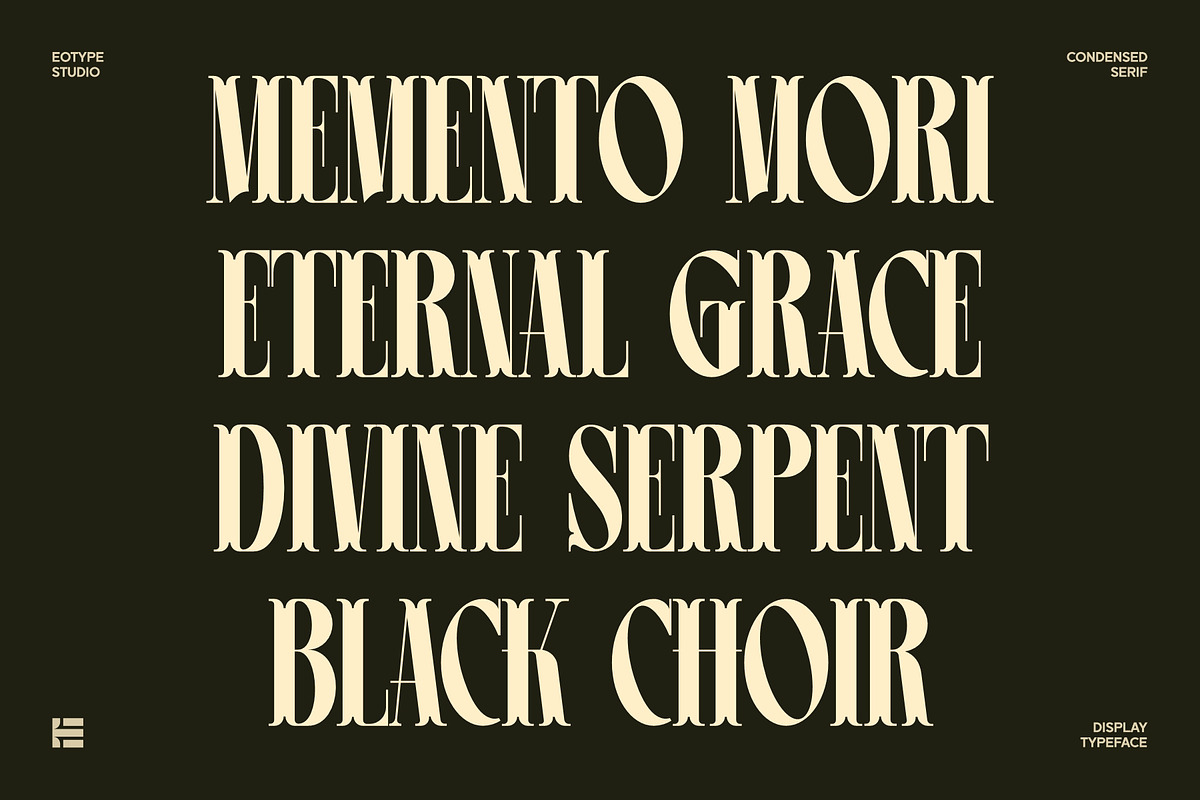 Leonice - Display Font, a Font by Eotype Studio (Photo 6 of 12)