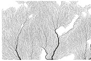 Growth - 50 Backgrounds, a Texture Graphic by GarryKillian (Thumbnail 38 of 51)